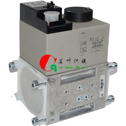 dungs冬斯燃?xì)怆姶砰ydmv d5080 11